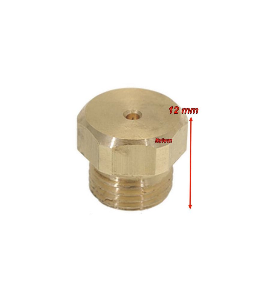 Injecteur gaz calibre 200 table de cuisson Eberhardt