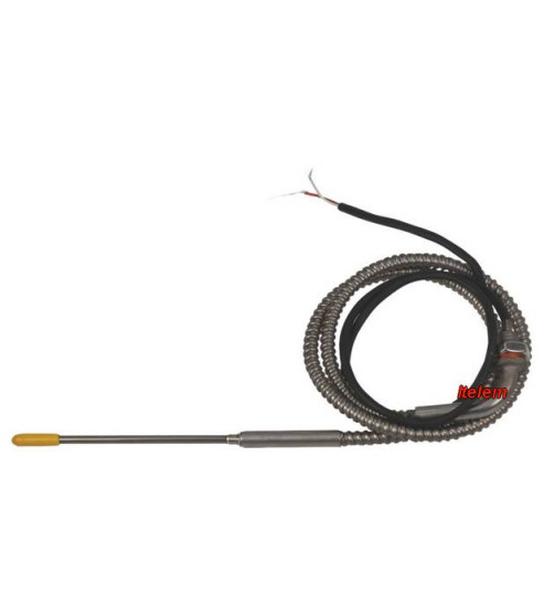 Sonde à coeur four à convection Rosinox