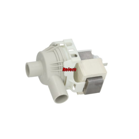 304519