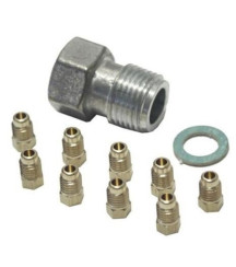 BO691434