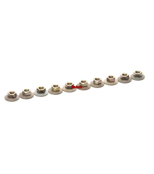 Lot de 10 écrous  fourneau Frima Rational 1106.0803