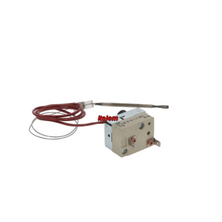 Thermostat four Dexion MBM 203479