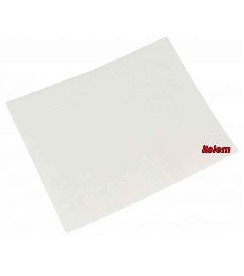 Filtre moteur aspirateur Philips 432200493931