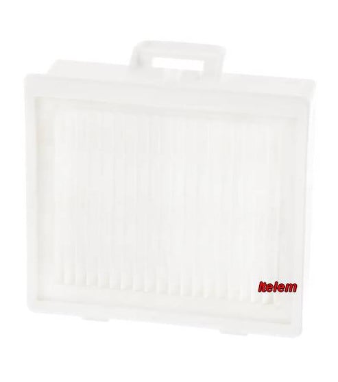 Filtre Hepa aspirateur Bosch 17007968