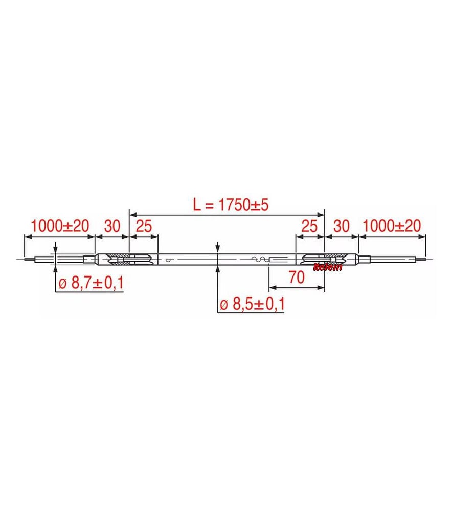 100rs3067004