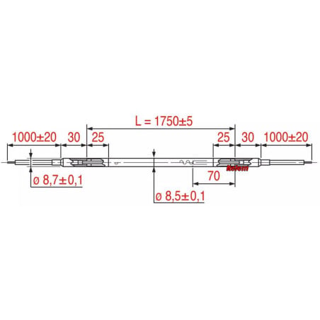 100rs3067004