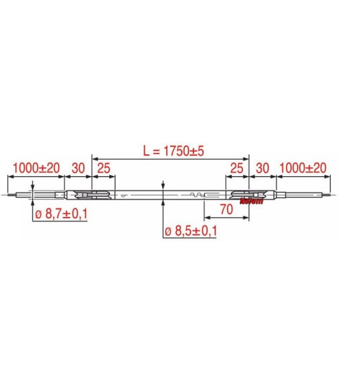 100rs3067004