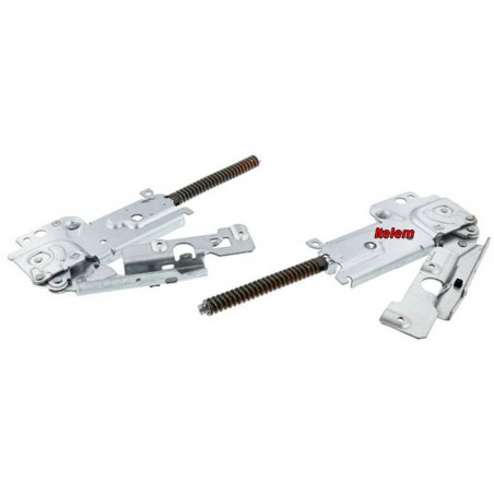 Kit charnières droite gauche porte lave-vaisselle Electrolux 4055071312