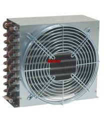 CCV1127/4