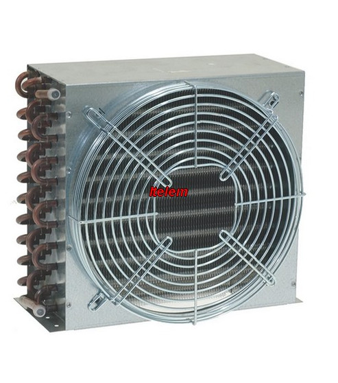 CCV1127/4