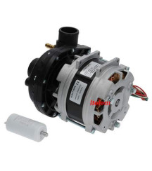 Alba pumps 500940