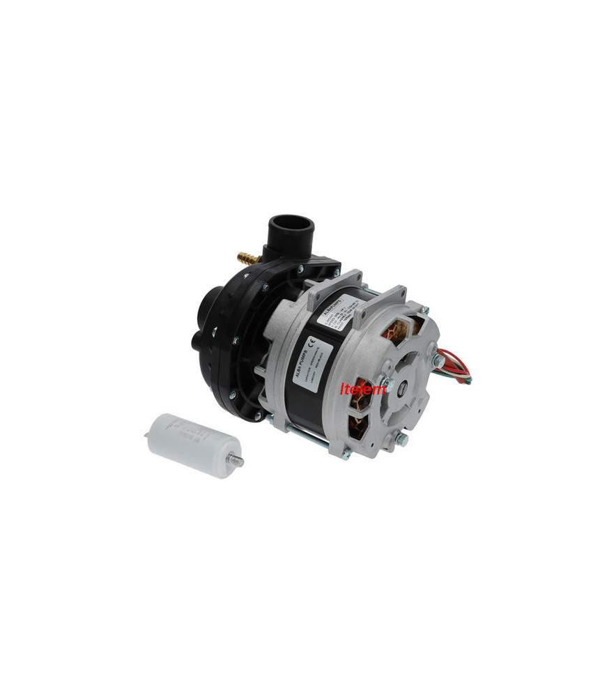 Alba pumps 500940