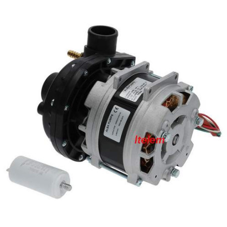 Alba pumps 500940