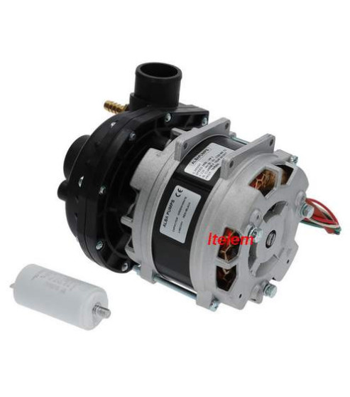 Alba pumps 500940