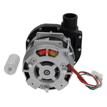 Pompe cyclage AP IM2031 lave-vaisselle professionnel AFI Hilta 500940