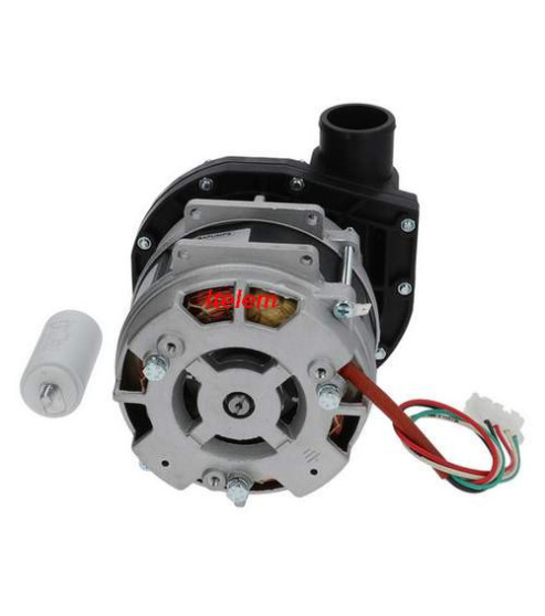 Pompe cyclage AP IM2031 lave-vaisselle professionnel AFI Hilta 500940