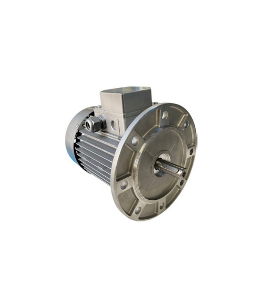 Moteur ventilateur chaleur tournante four Rotovent Tagliavini