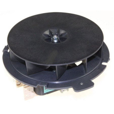 DG96 00005C