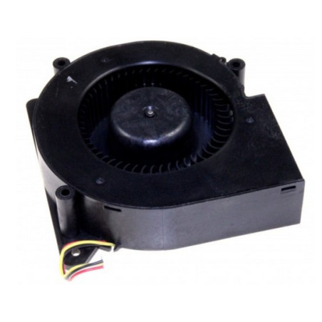 DG31 00011A 