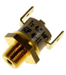500584587 