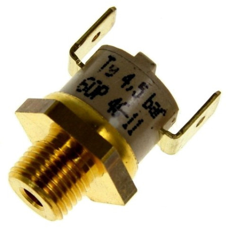 500584587 