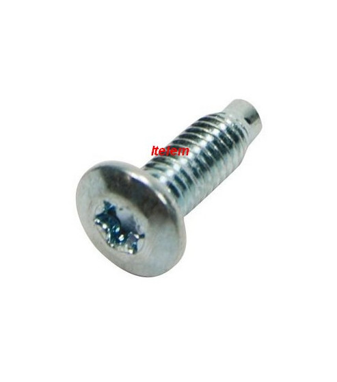 Vis poignée de porte réfrigérateur Liebherr 4098184
