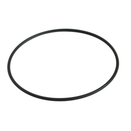 049033