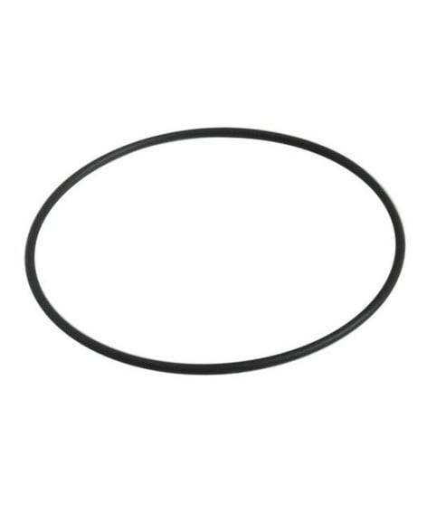 049033