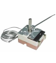 Thermostat four catalyse 5513069500