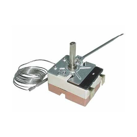 Thermostat four catalyse 5513069500