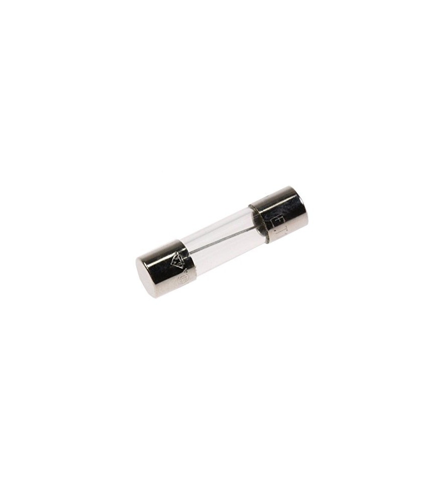 Fusible four micro onde 12A 250V 5x20mm