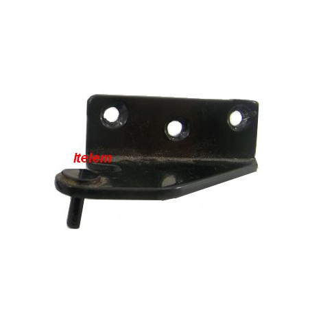 Charniere porte four Leisure 418300091