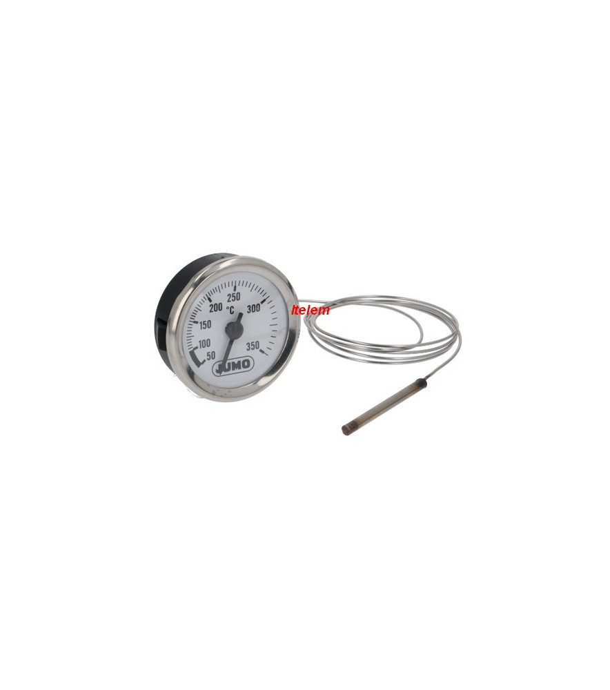 Thermomètre four Foinox