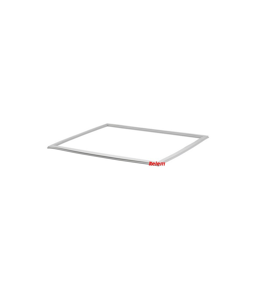 00209596