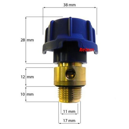 Bouchon chaudière vapeur Philips 423902169131