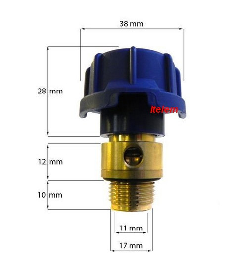 Bouchon chaudière vapeur Philips 423902169131