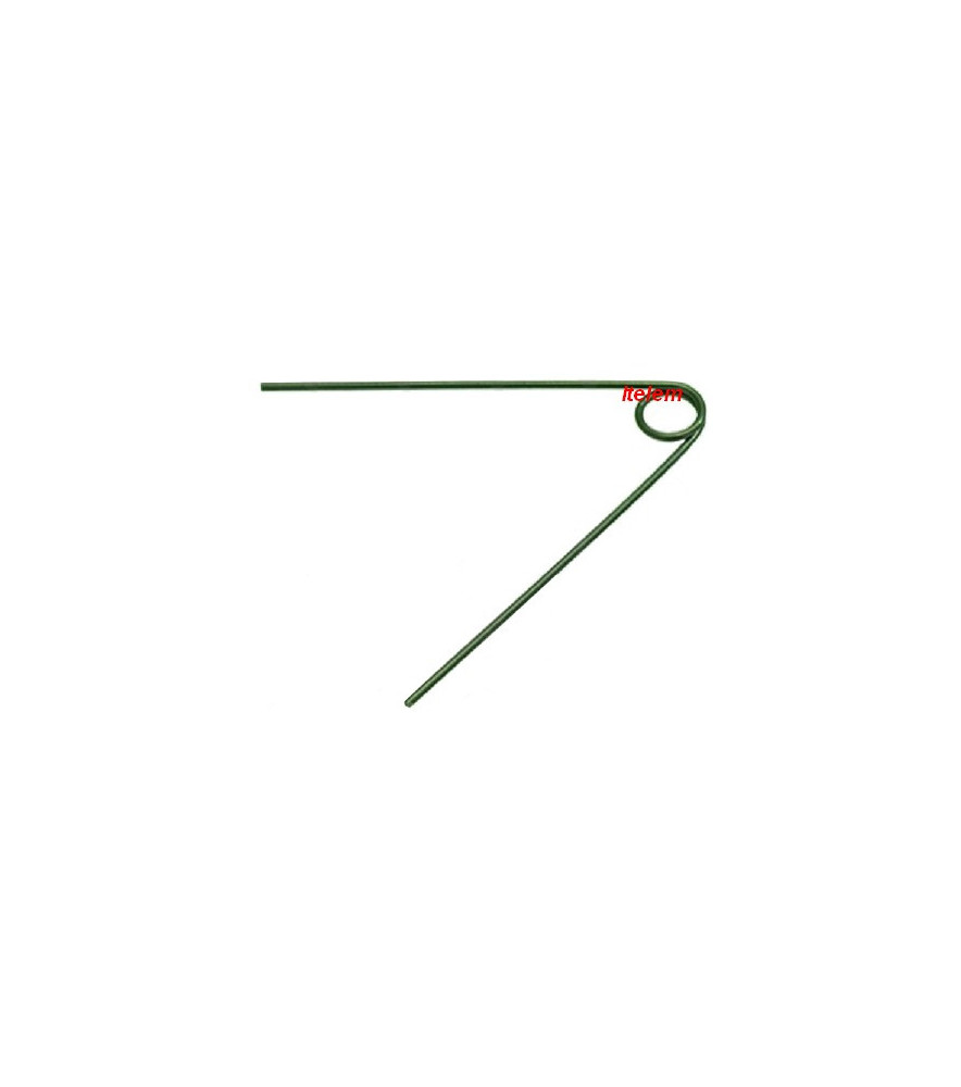 300203