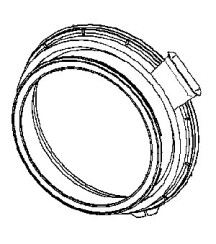 C00115520