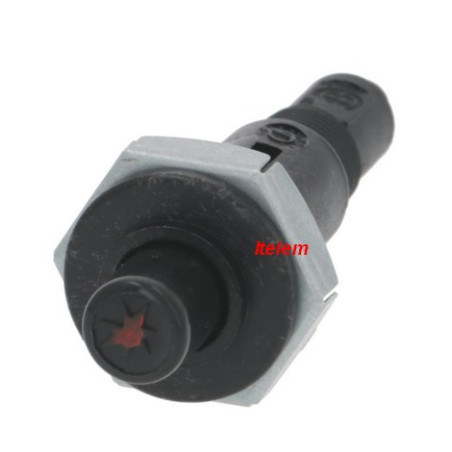 Allumeur fourneau Firex 40100130