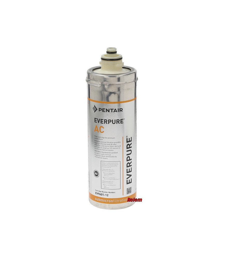Cartouche à eau Everpure type AC EV9601-12