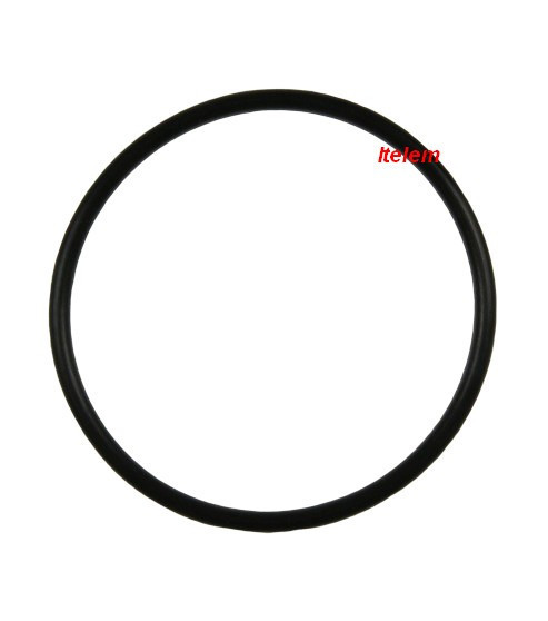 481072651921