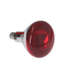 Lampe infrarouge E27 240V 250W four Cookmax