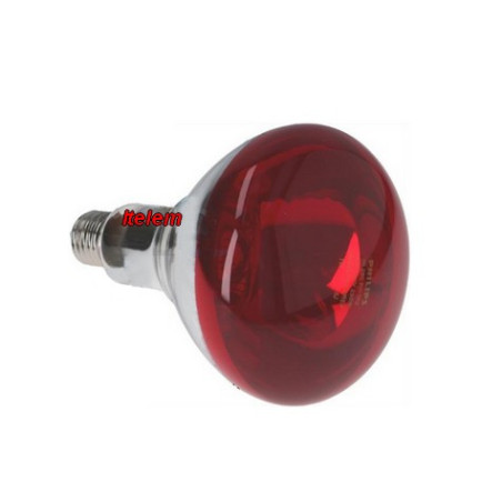 Lampe infrarouge E27 240V 250W four Cookmax