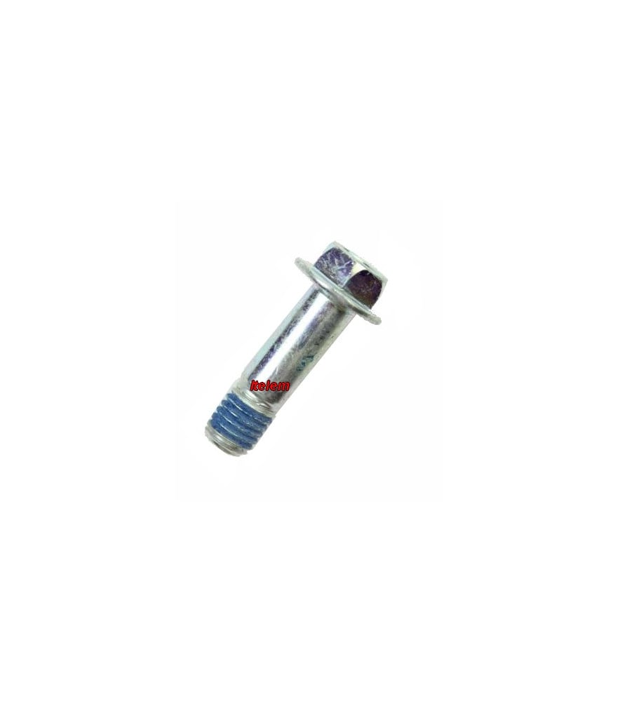 Vis de fixation amortisseur lave-linge Samsung 6011001644