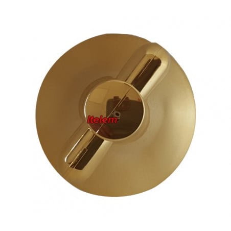 Manette aspect doré table de cuisson Sauter 76X1568