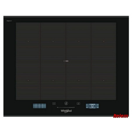 C00508231