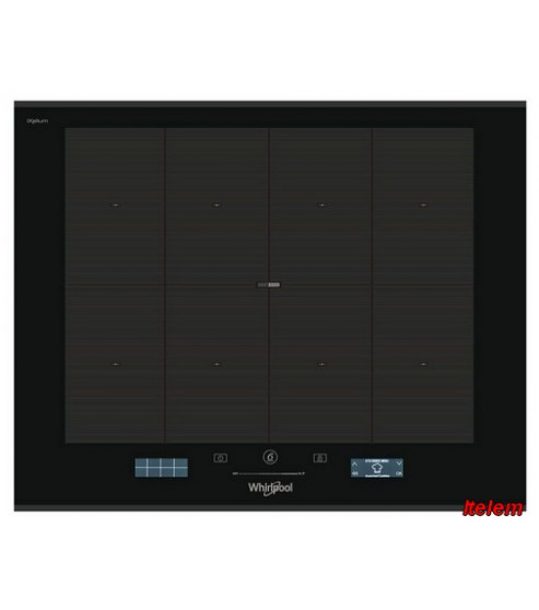 C00508231