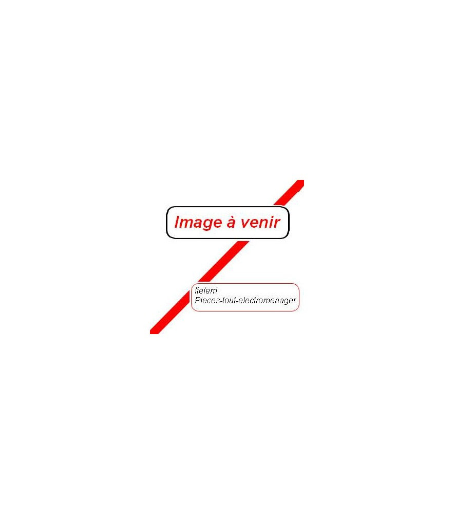 481010688219
