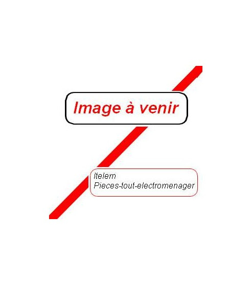 481010688219