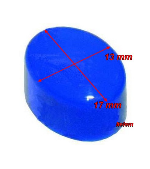 Bouton bleu oval lave-vaisselle Lamber 0301068